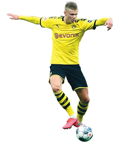 转中带突 转中带突