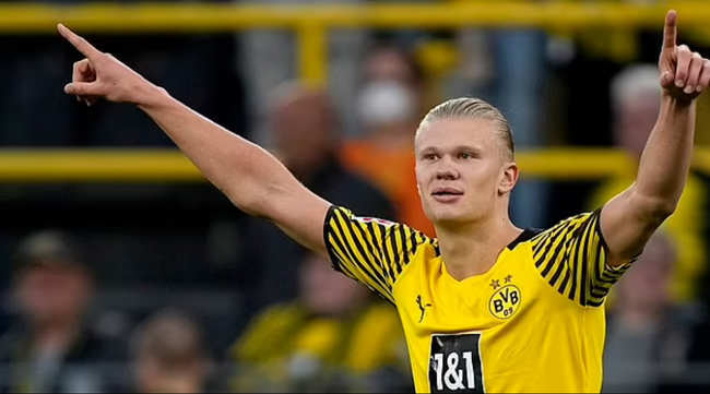 26世界棒 26世界棒